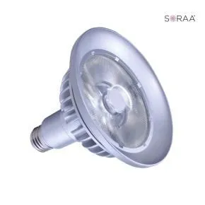 Bulbrite 777767 LED PAR38