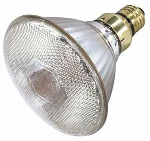 Satco S4888 HID PAR Flood & Spot PAR38